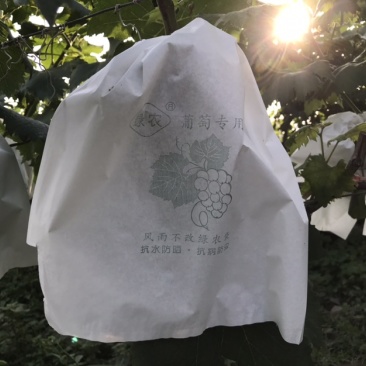 水果套袋葡萄套袋专用袋葡萄果袋套葡萄果袋葡萄纸袋
