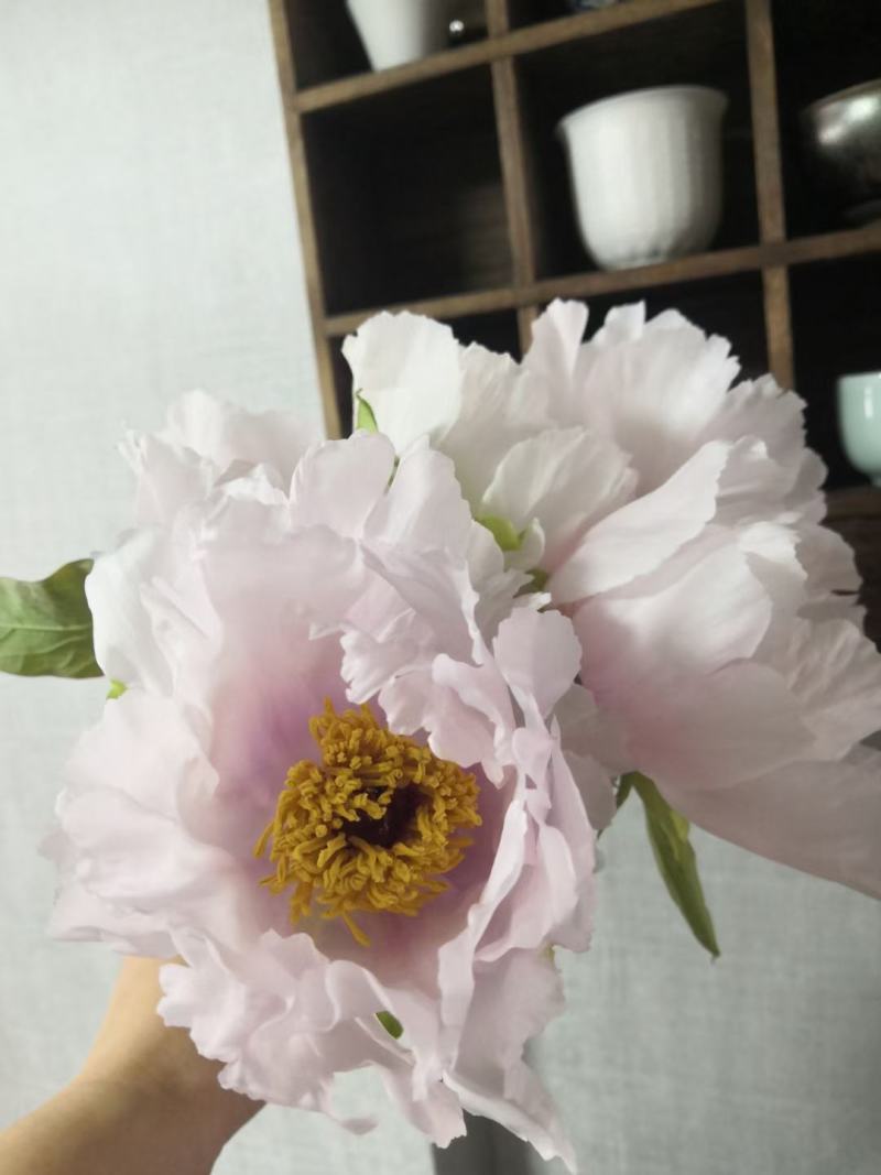 牡丹鲜切花！千层牡丹花一扎10枝！长30公分左右！洛阳