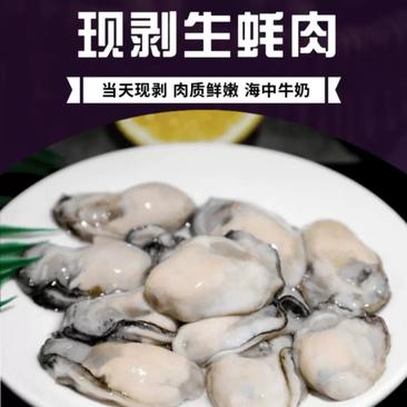 《高品质》新鲜生蚝肉鲜活现剥去壳海鲜即食海蛎子牡蛎肉