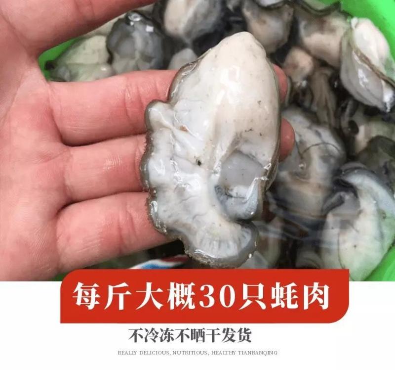 《高品质》新鲜生蚝肉鲜活现剥去壳海鲜即食海蛎子牡蛎肉