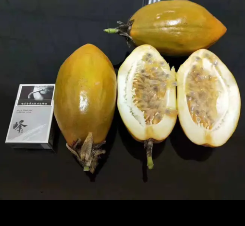 [精选]新品种香蜜百香果苗木瓜百香果苗优良品种