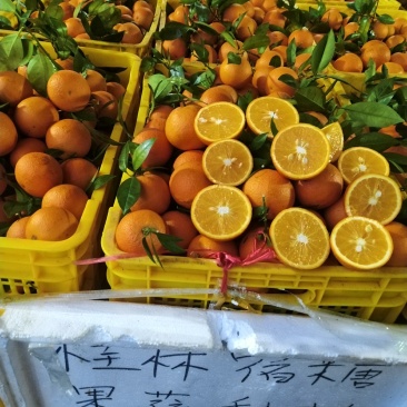 广西桂林蜜香橙清香纯甜口感超甜糖度高批发