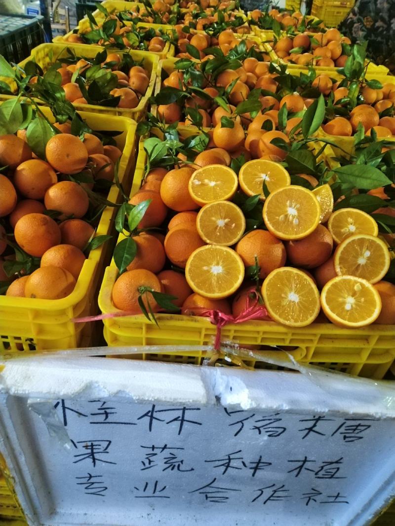 广西桂林蜜香橙清香纯甜口感超甜糖度高批发