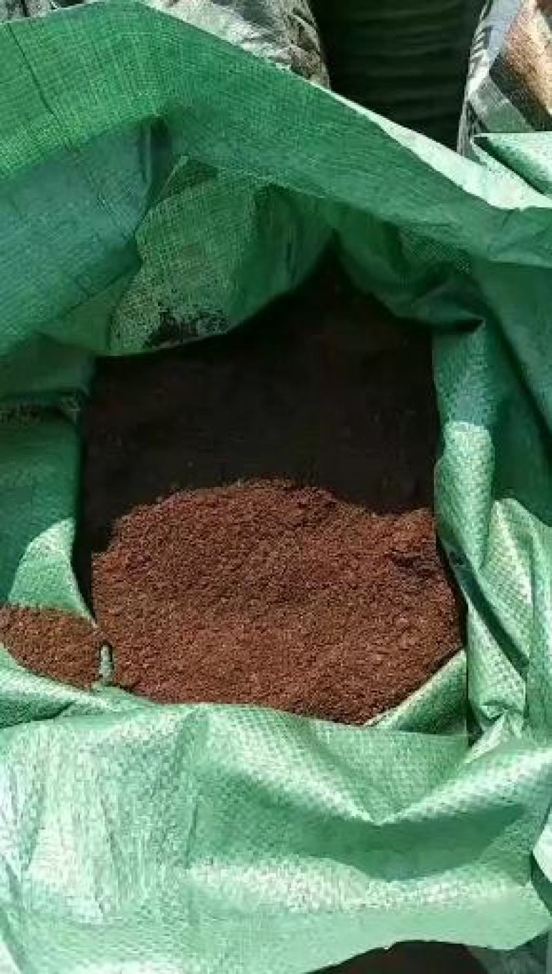 干猪粪万亩养殖场猪粪有机肥畜禽粪生姜大蒜药材蔬菜