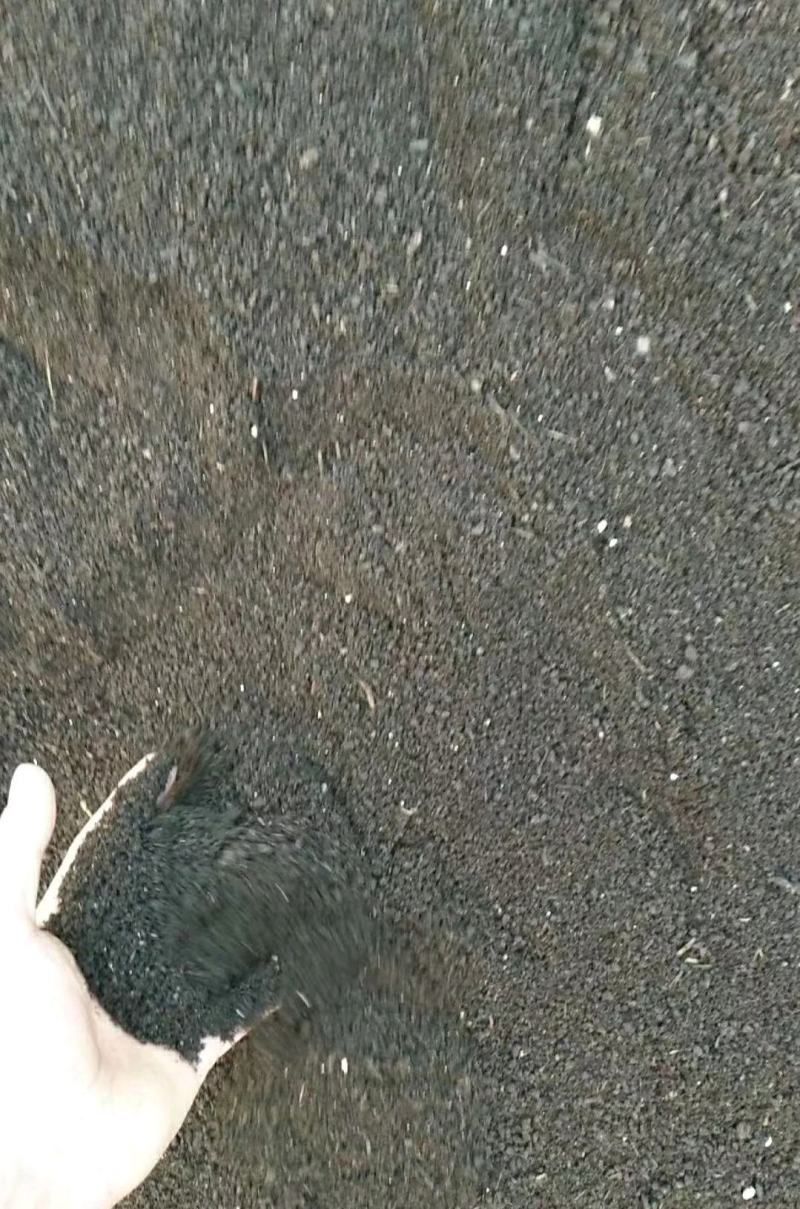 干猪粪万亩养殖场猪粪有机肥畜禽粪生姜大蒜药材蔬菜