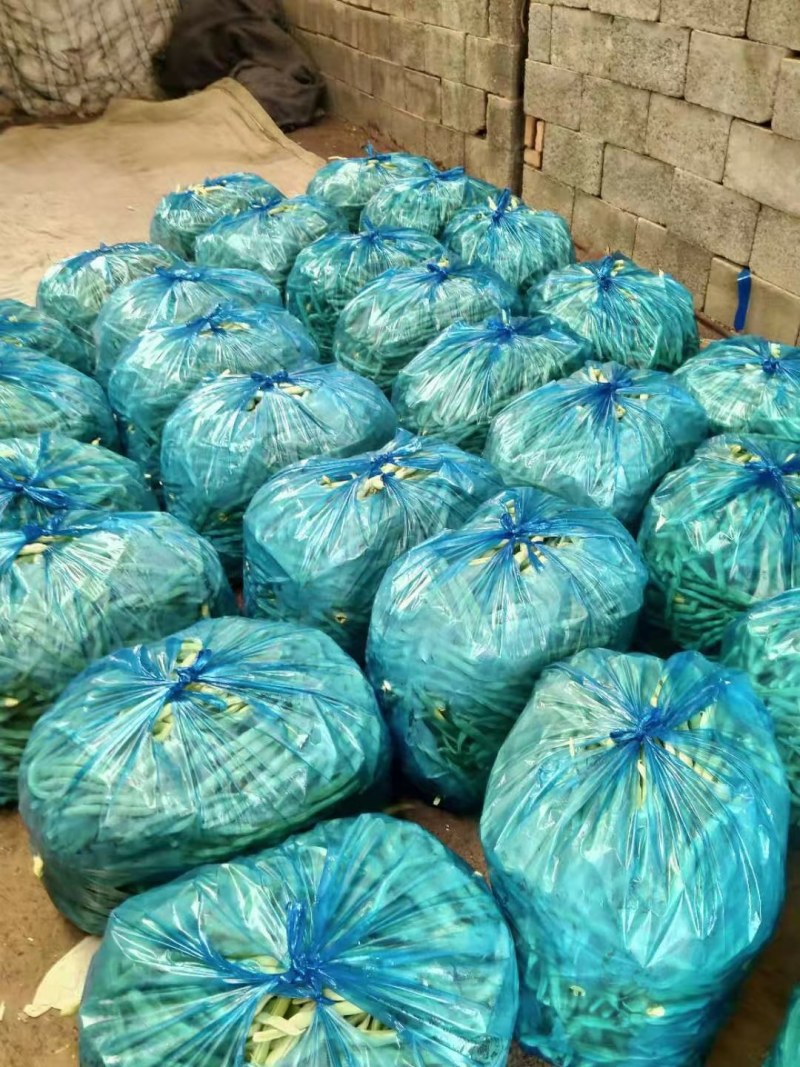 七粒白芸豆大量上市了，
