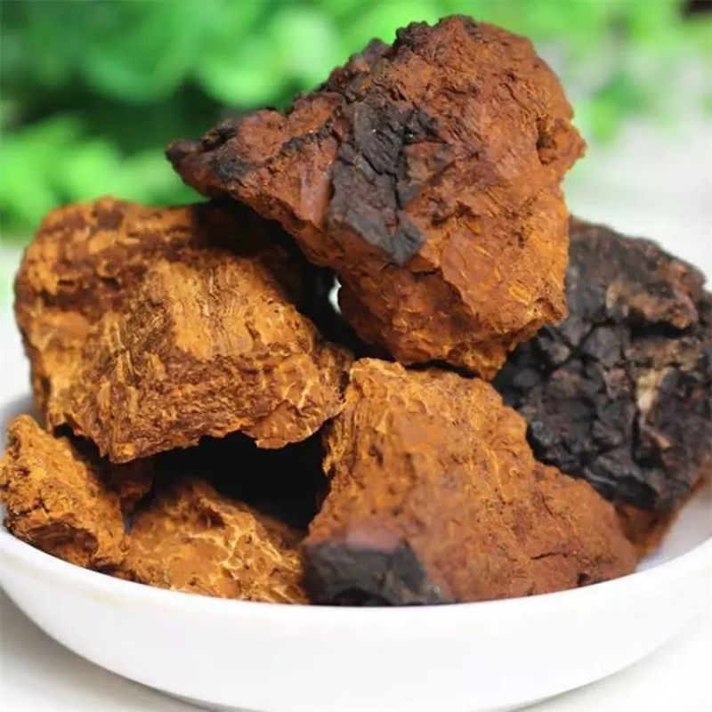 白桦茸黄褐孔菌煮水规格齐全2斤包邮