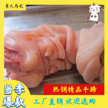 【批发-50斤熟牛蹄】批发一件50斤去骨熟牛蹄