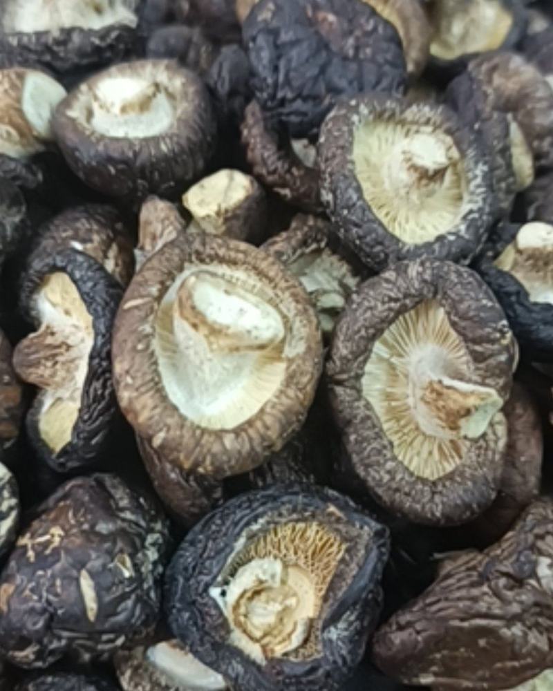 新货黑面小香菇个个均匀