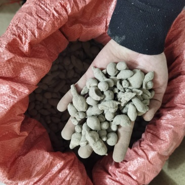 广西基地三叶青金钱吊葫芦干货成品鲜货加工