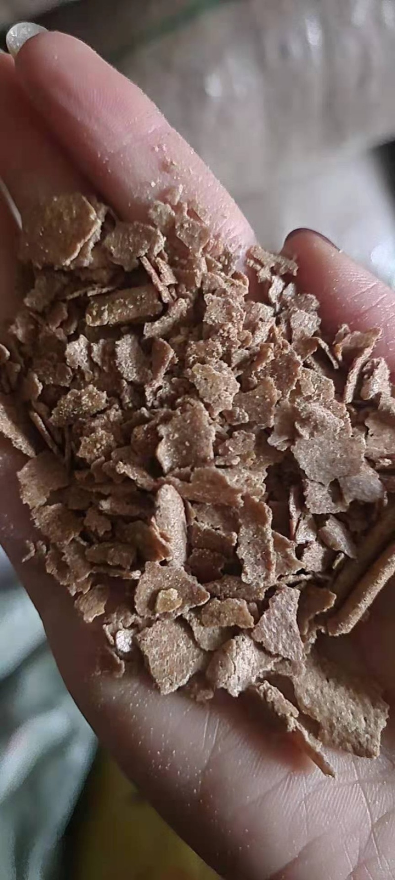 花生饼纯仁饼蛋白高牛羊猪饲料香喷喷