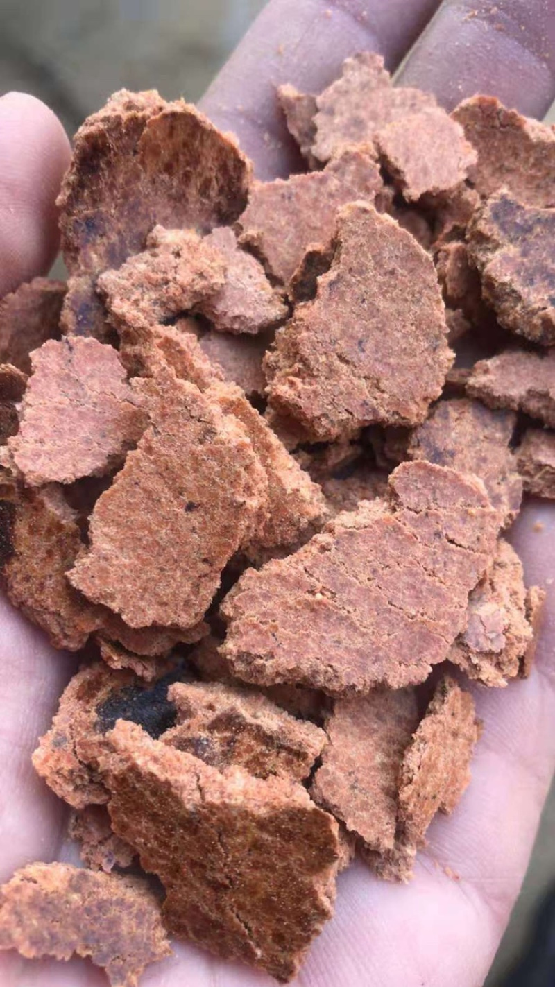 花生饼纯仁饼蛋白高牛羊猪饲料香喷喷