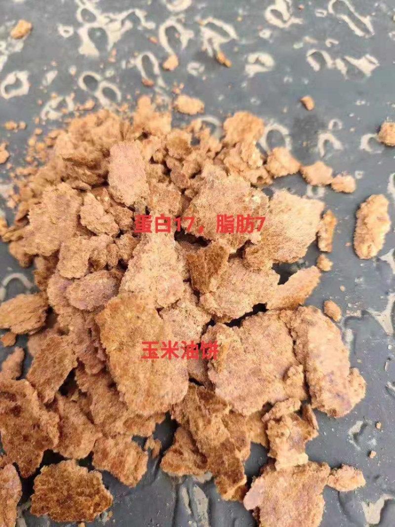 花生饼纯仁饼蛋白高牛羊猪饲料香喷喷