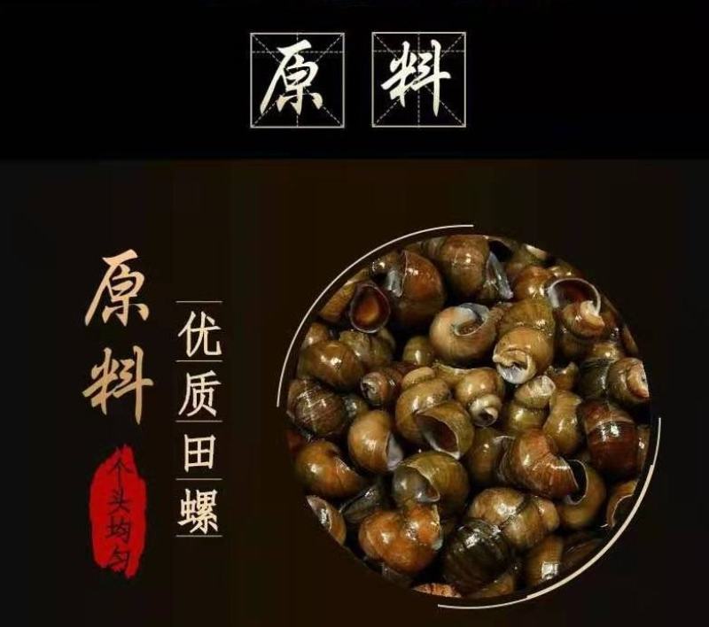 麻辣螺狮夏夜啤酒绝配！厂家直销，量大从优！