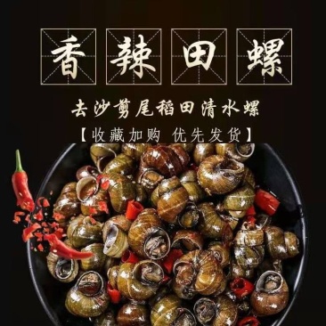 麻辣螺狮夏夜啤酒绝配！厂家直销，量大从优！