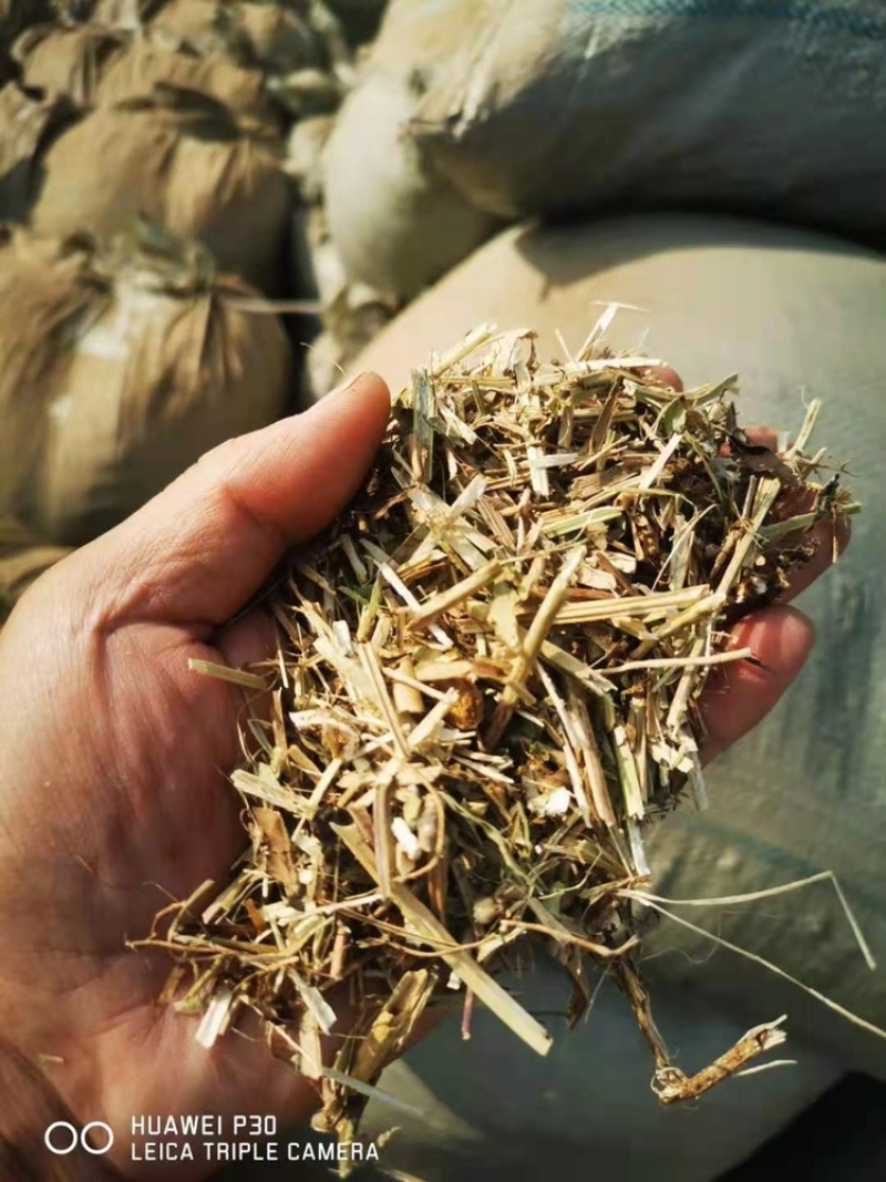 优质花生秧牛羊草无土无膜无霉变原草质量保证