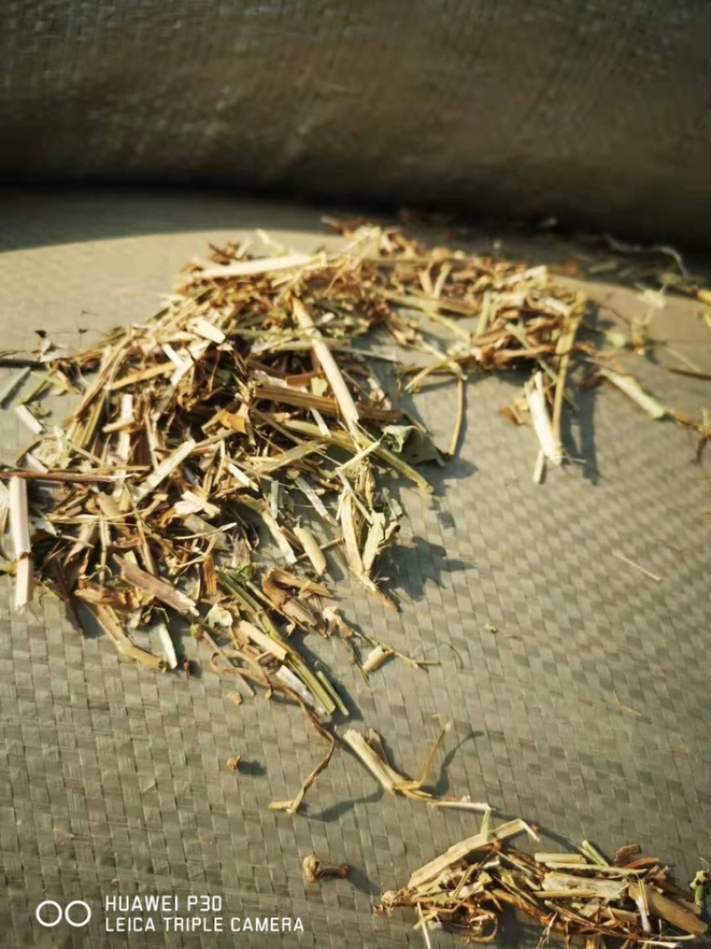 优质花生秧牛羊草无土无膜无霉变原草质量保证