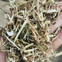 优质花生秧牛羊草无土无膜无霉变原草质量保证