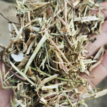 优质花生秧牛羊草无土无膜无霉变原草质量保证