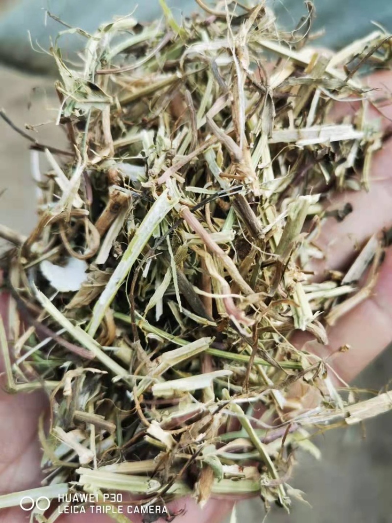 优质花生秧牛羊草无土无膜无霉变原草质量保证