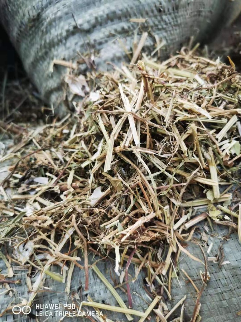 优质花生秧牛羊草无土无膜无霉变原草质量保证