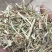 优质花生秧牛羊草无土无膜无霉变原草质量保证