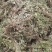 优质花生秧牛羊草无土无膜无霉变原草质量保证