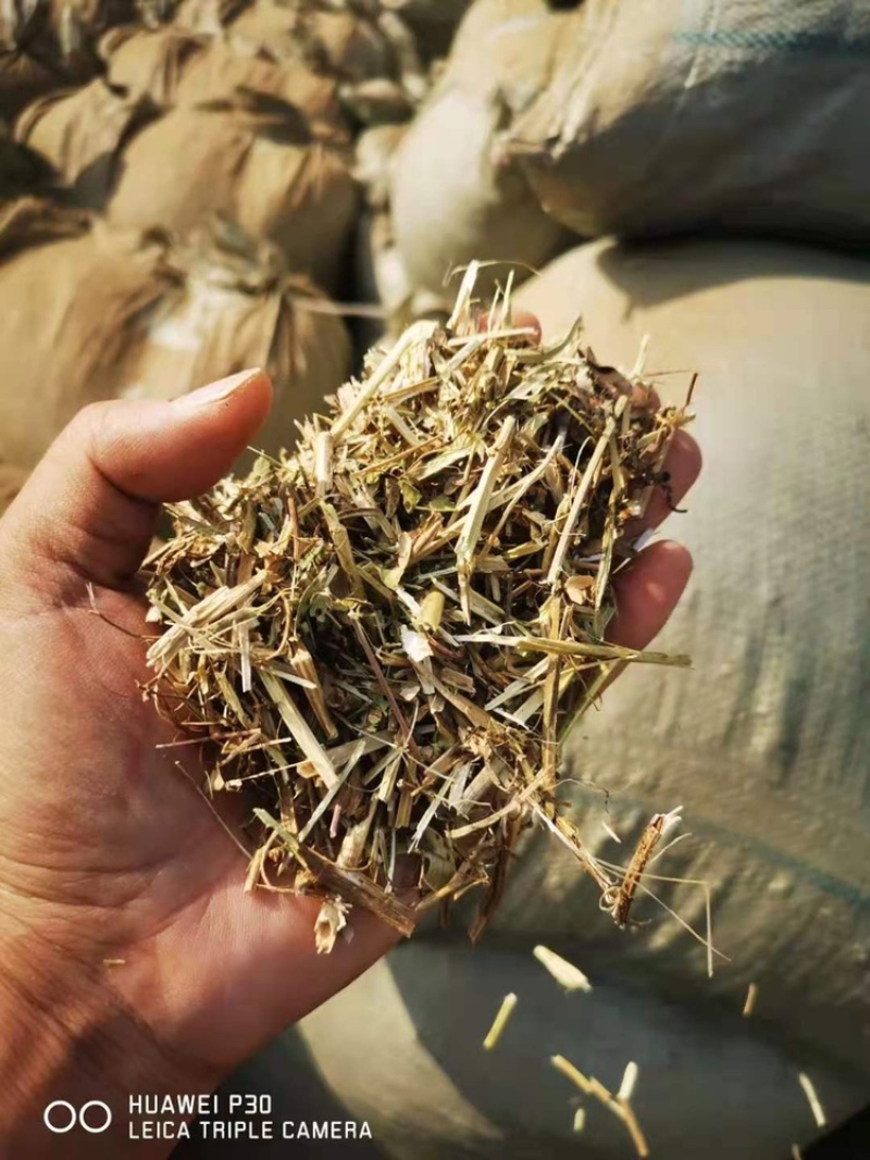 优质花生秧牛羊草无土无膜无霉变原草质量保证