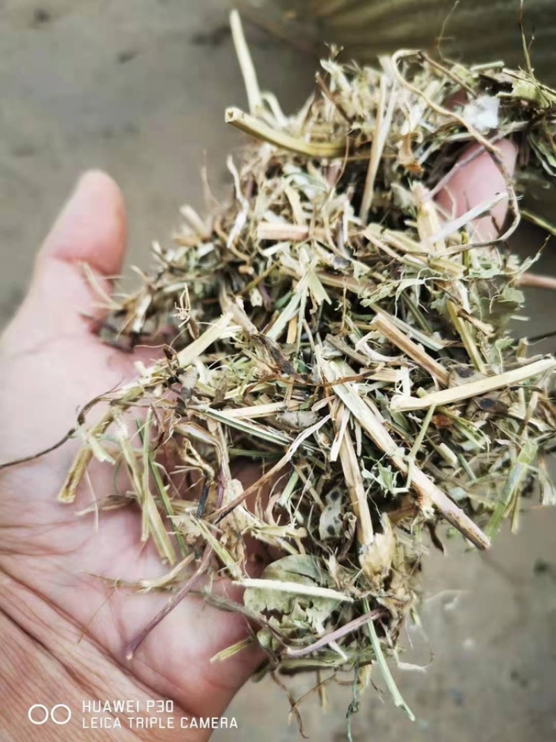 优质花生秧牛羊草无土无膜无霉变原草质量保证