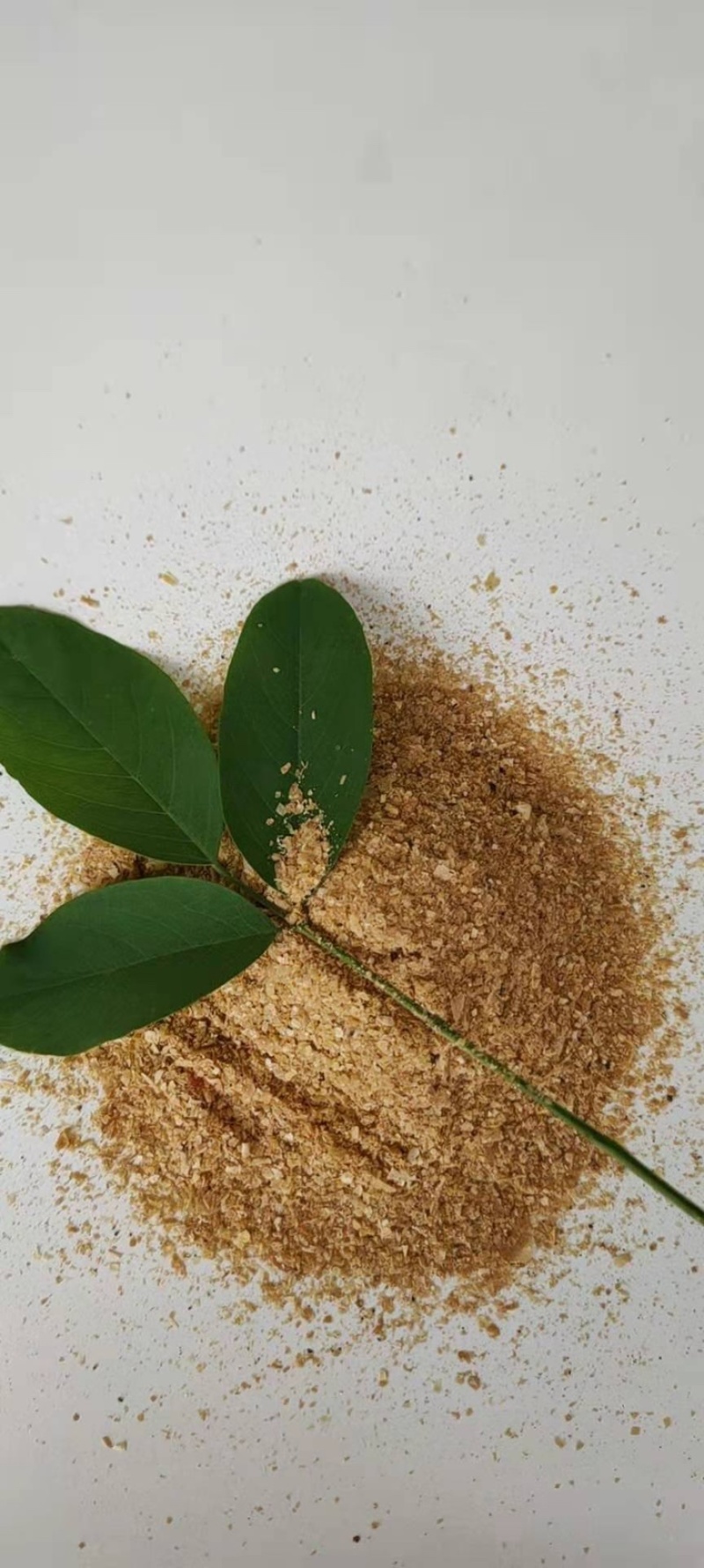 喷浆玉米皮高蛋白原料量大从优保质保量