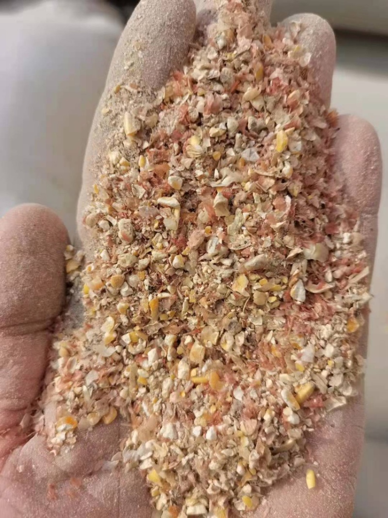 厂家直供大片玉米片喷浆皮鸡鸭鹅牛羊好饲料保证质量