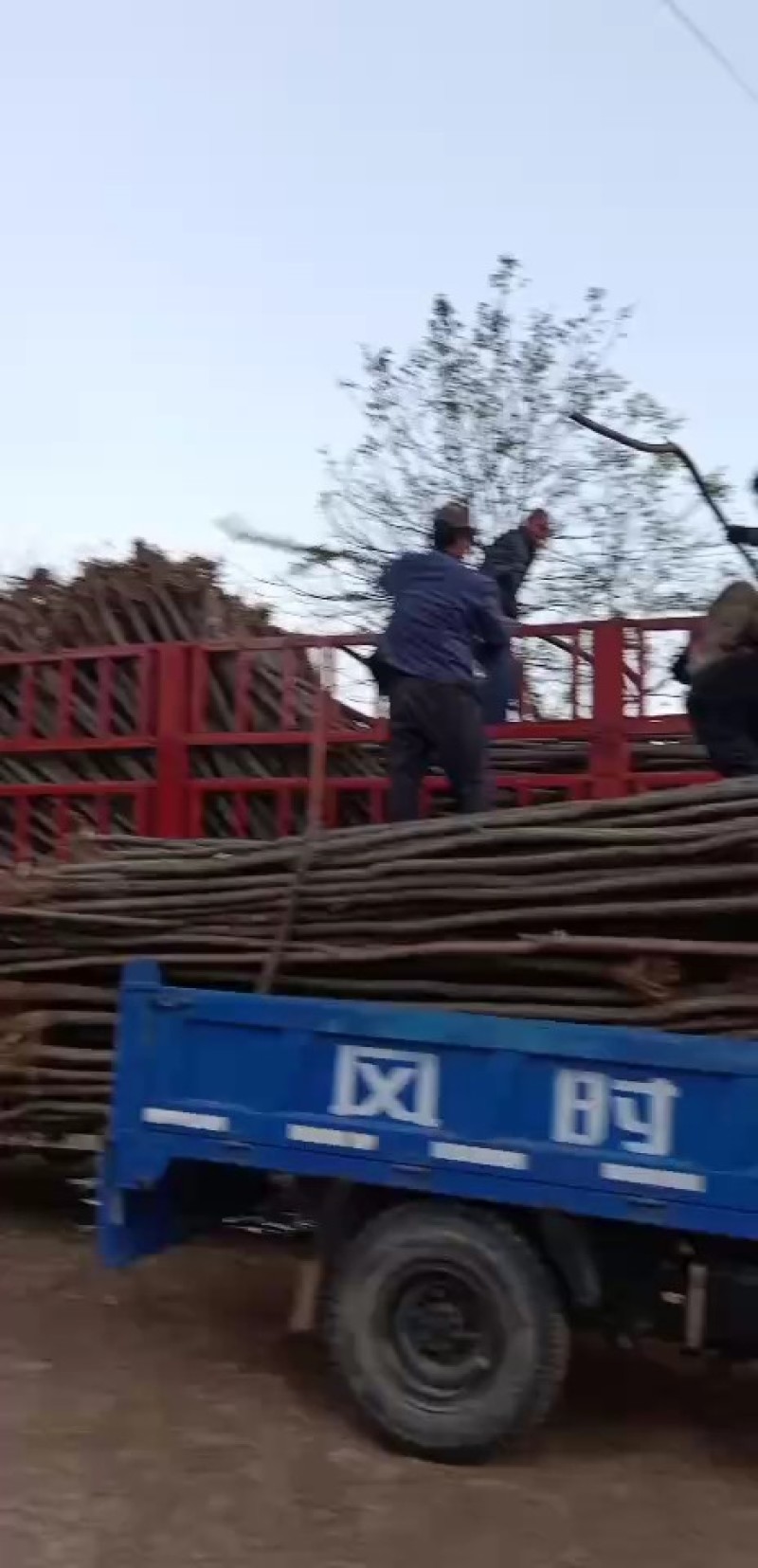 刺槐3/8公分，大量有货，有需要的老板欢迎来电咨询，能强