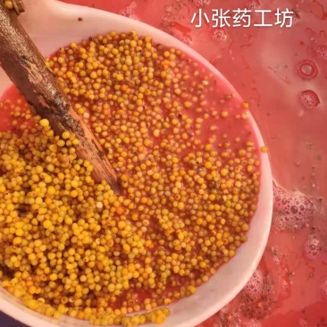 多花姜形黄精新籽，可以代催芽免费提供技术