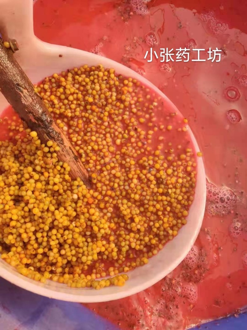 多花姜形黄精新籽，可以代催芽免费提供技术