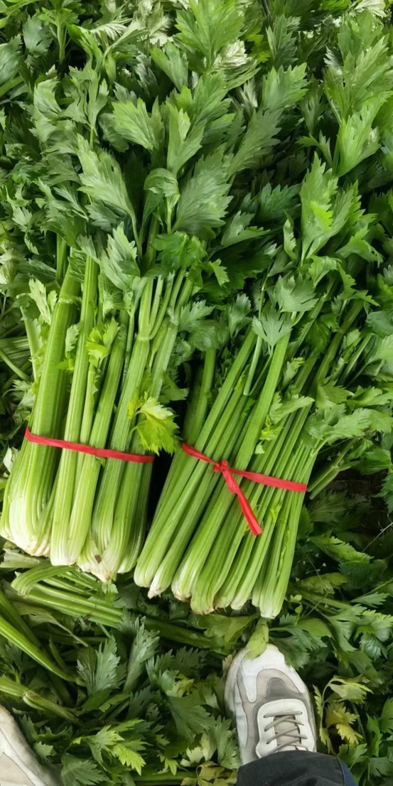 芹菜，电商美团直供一件代发，，，，，，