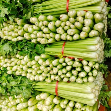 芹菜，电商美团直供一件代发，，，，，，