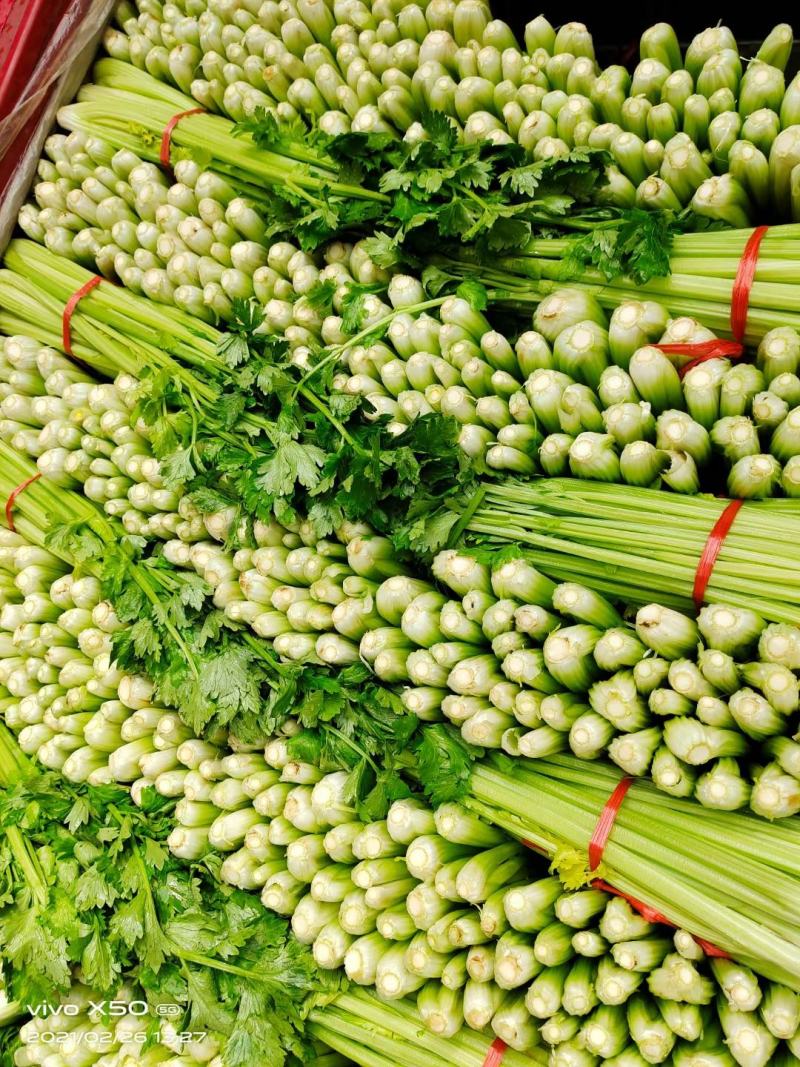 芹菜，电商美团直供一件代发，，，，，，