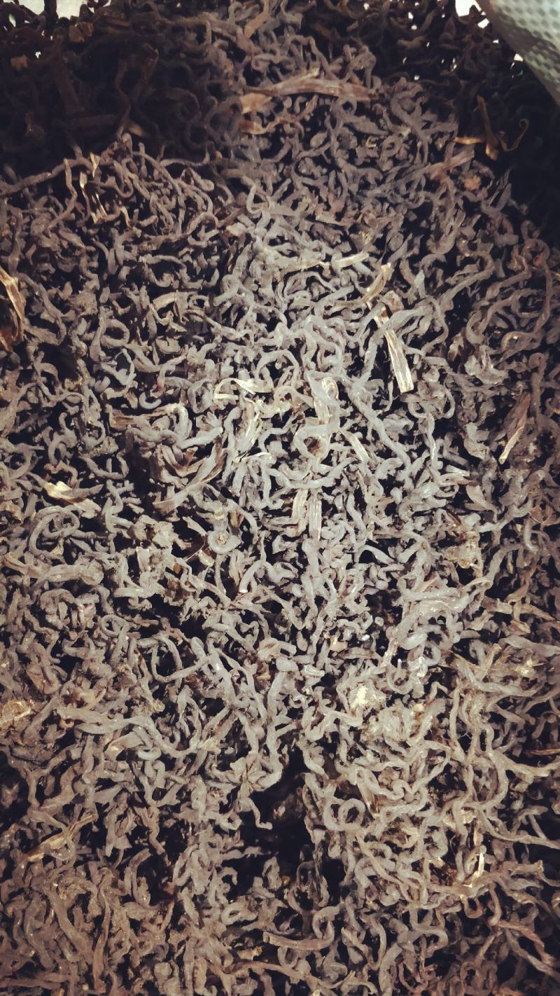 东北山菜牛毛广学名[红薇菜]天然绿色营养丰富