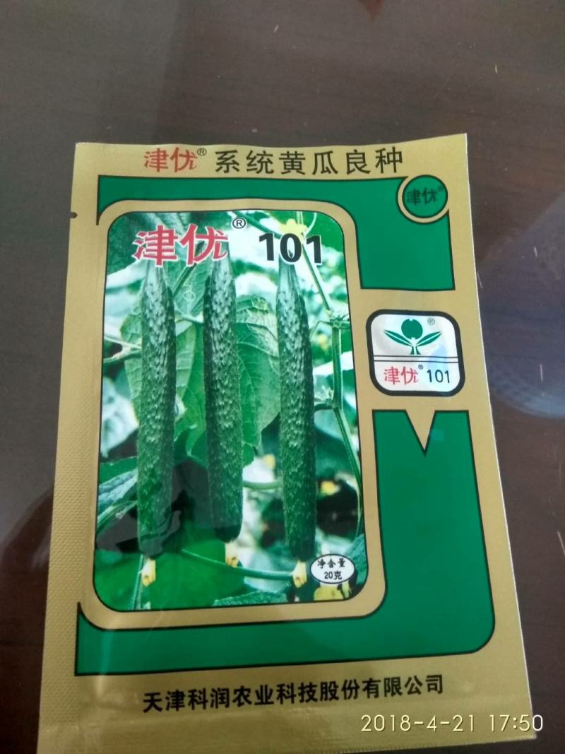 油亮顺直深绿抗病口感脆甜的黄瓜种子津优101
