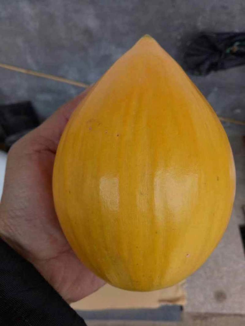 正中台湾耀堂仙桃带营养杯发货有需要的请联系