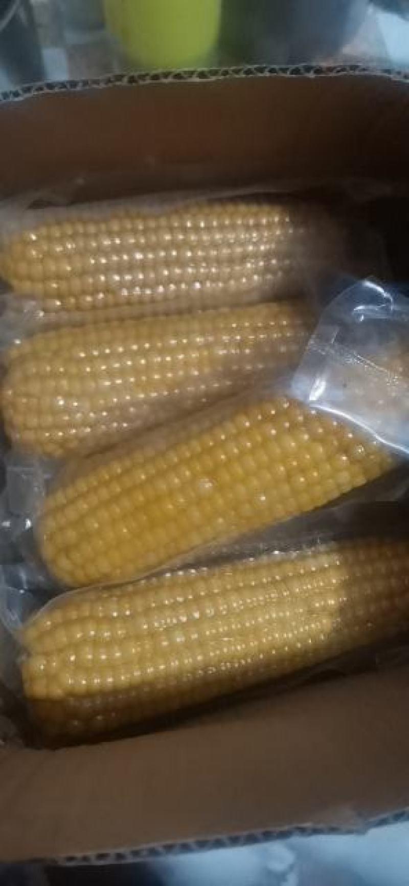 小黄粘糯玉米黑龙江特产