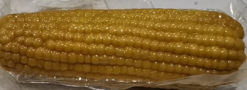 小黄粘糯玉米黑龙江特产