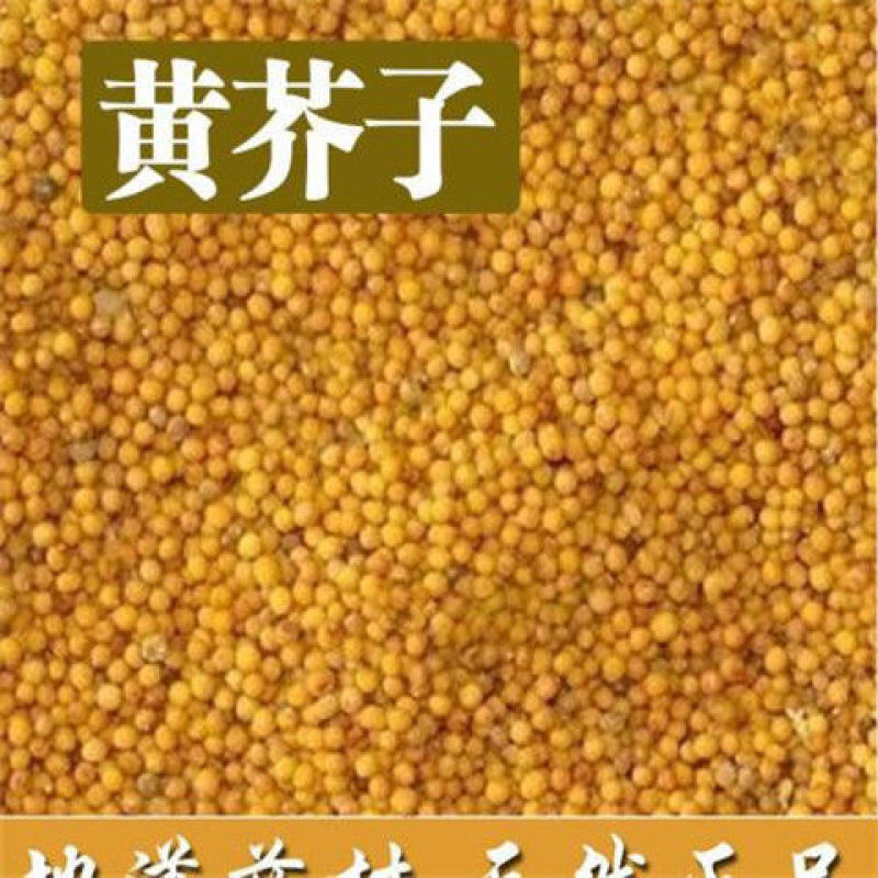 中药材纯黄芥子粉芥末粉黄介子粉散装包邮