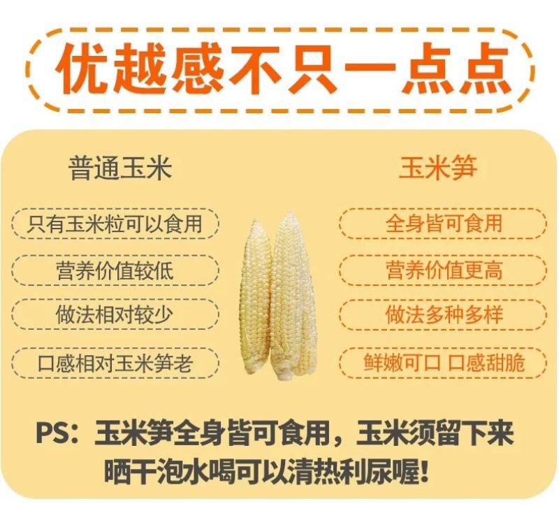 新鲜玉米笋番麦笋玉米芯玉米崽嫩玉米迷你玉米现摘包邮。