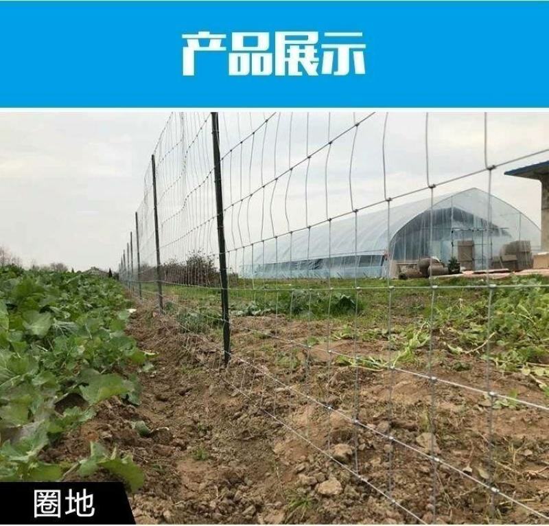 热镀锌铁丝网养羊养牛果园圈山钢丝网养殖隔离网