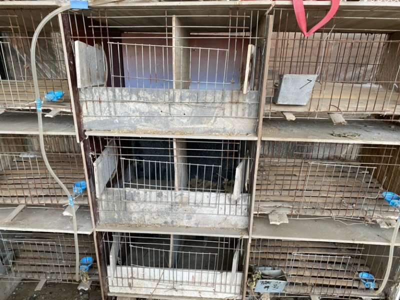 瓷砖，子母窝，兔笼子