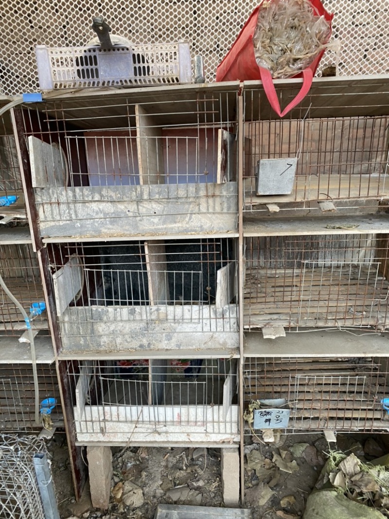 瓷砖，子母窝，兔笼子