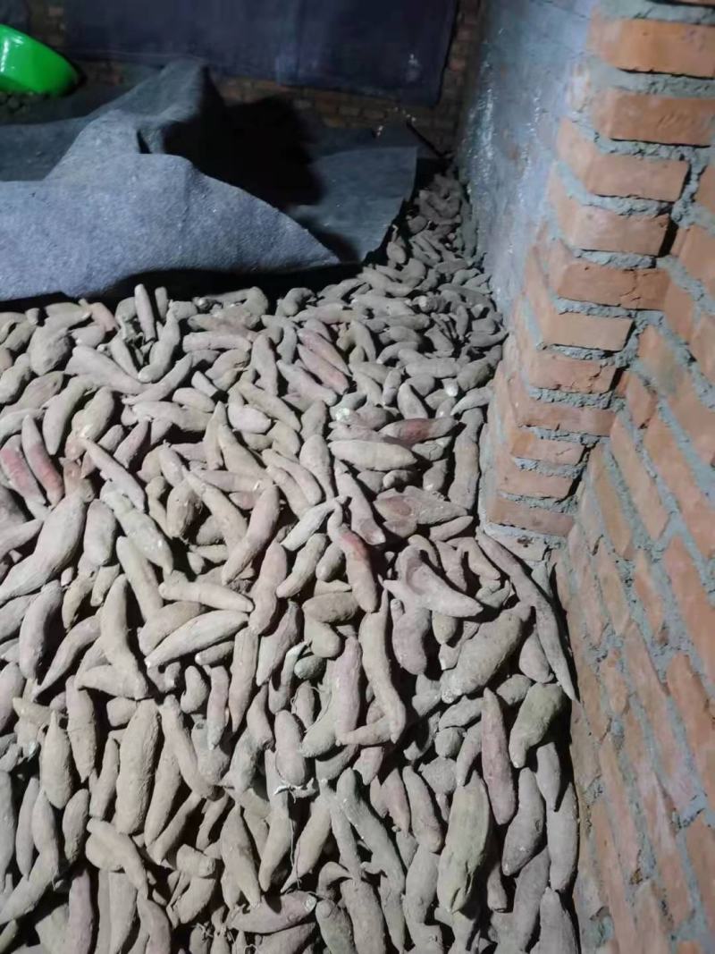 西瓜红种薯大量有货，量小勿扰