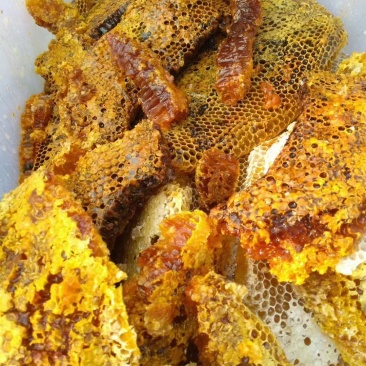 土蜂蜜，野生蜂蜜，百花蜜，树洞蜜，黑蜂蜜，土酸蜂