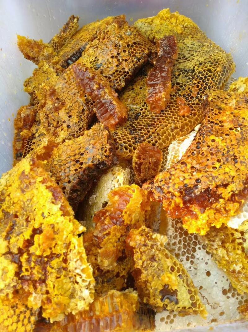 土蜂蜜，野生蜂蜜，百花蜜，树洞蜜，黑蜂蜜，土酸蜂